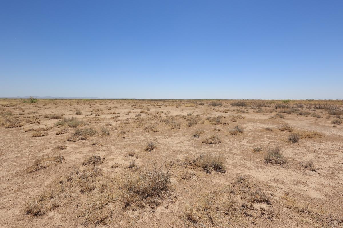 .5 Acres for Sale in Valencia, New Mexico