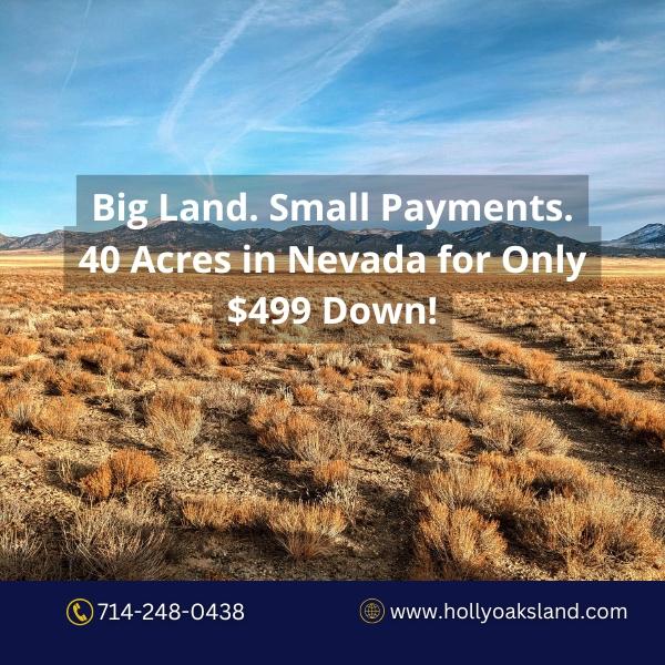 40 Acres for Sale in Montello, Nevada