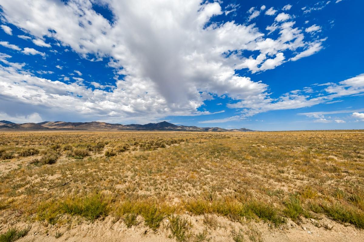 40 Acres for Sale in Lucin, Utah