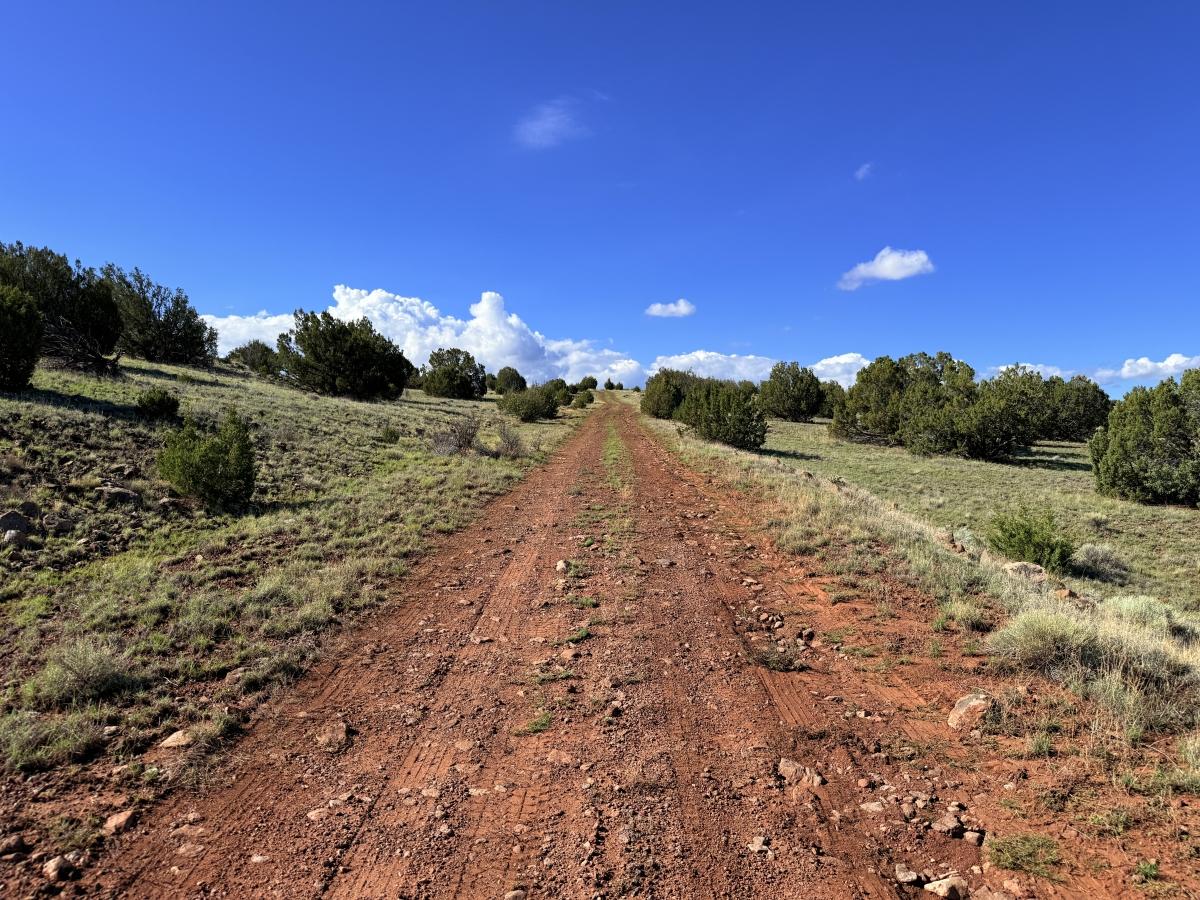 3.12 Acres for Sale in Concho, Arizona