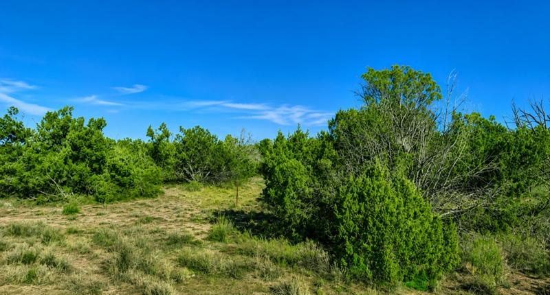 40 Acres for Sale in Saint Johns, Arizona
