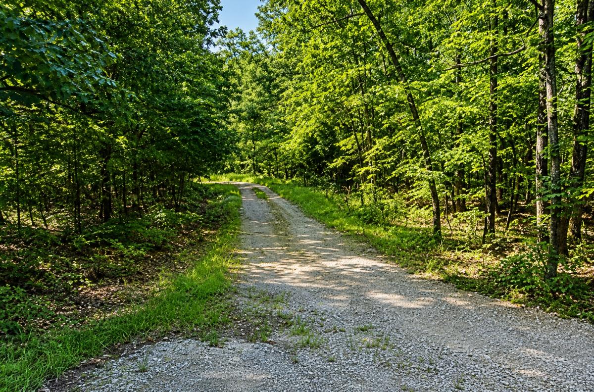 1.00 Acres for Sale in Cherokee Village, Arkansas