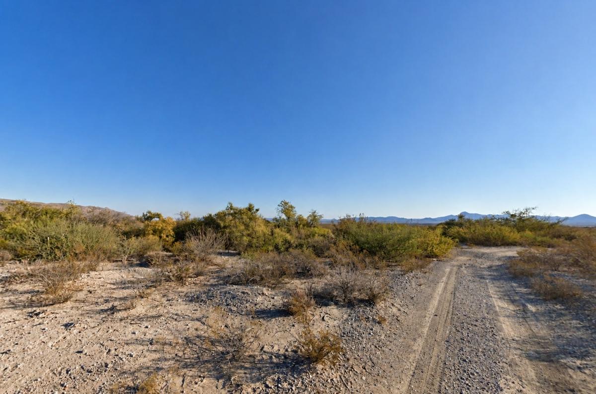 20 Acres for Sale in Scotts Crossing, Texas