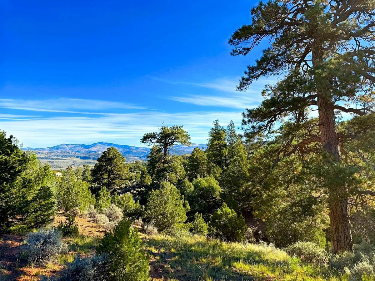 5.04 Acres for Sale in Fort Garland, Colorado
