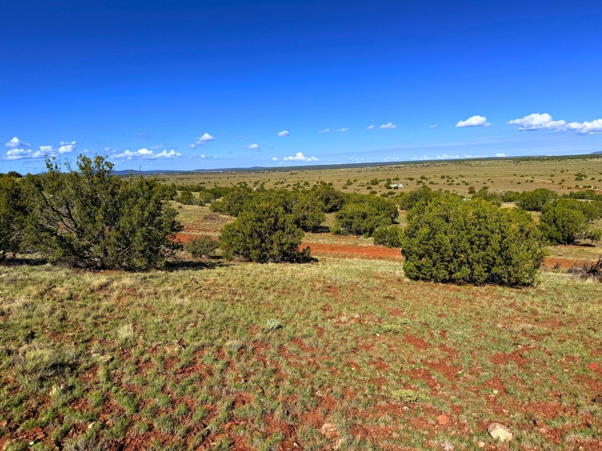 3.12 Acres for Sale in Concho, Arizona