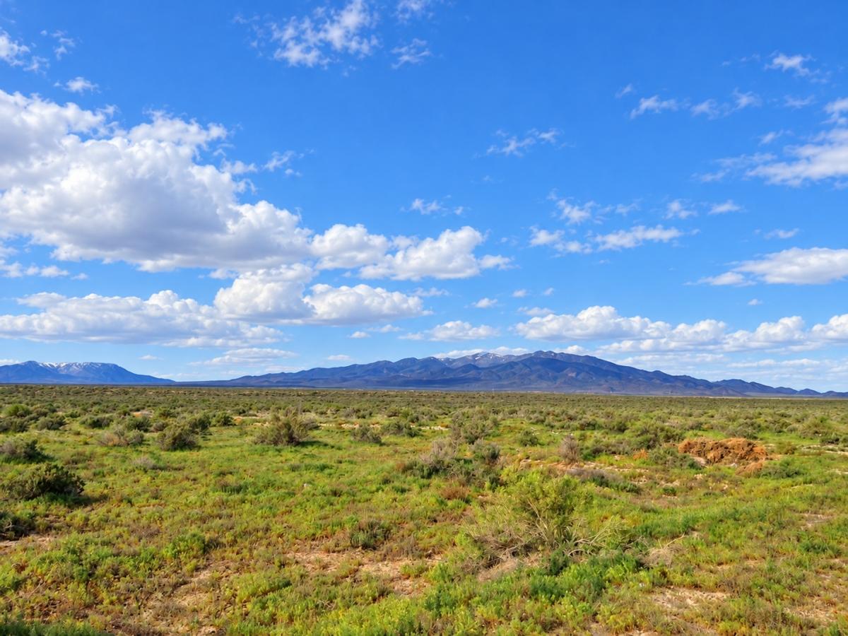 80 Acres for Sale in Valmy (Owner Finance $599.00 a month), Nevada