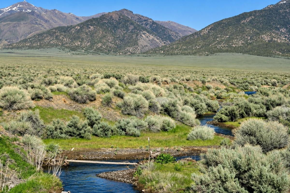80 Acres for Sale in Valmy (Owner Finance $599.00 a month), Nevada