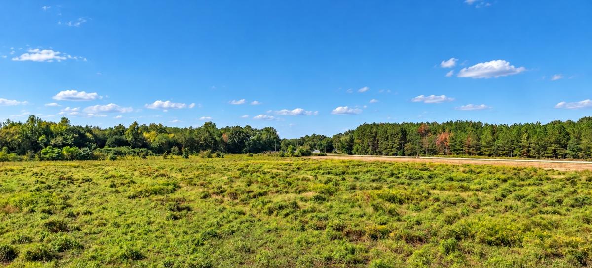 5 Acres for Sale in Wallace $699 a month!, South Carolina