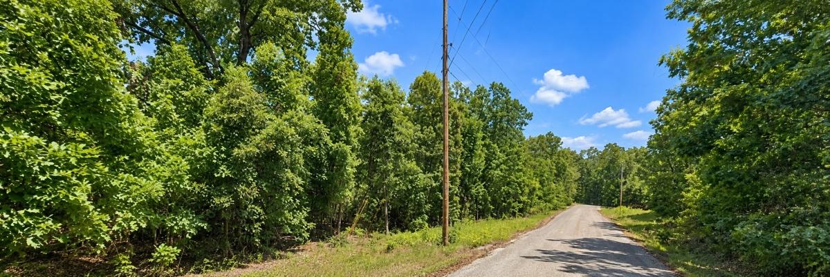 0.35 Acres for Sale in Aztec Lake, Arkansas