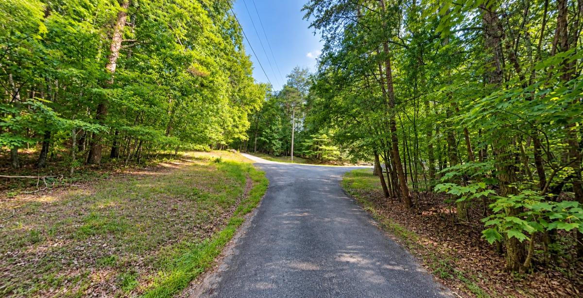 3.89 Acres for Sale in Jasper, GA